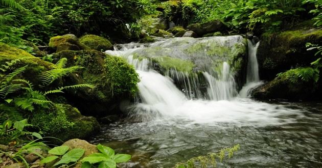 重庆风水大师