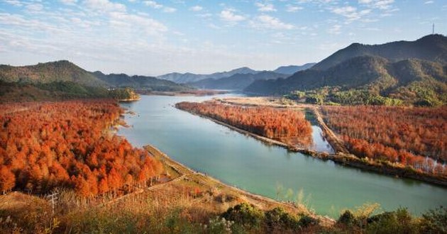 重庆风水大师