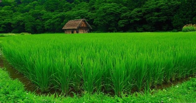 重庆风水大师