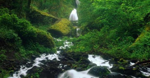 广东风水大师