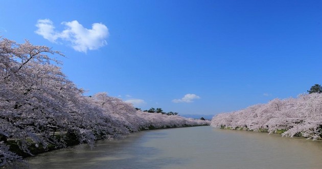 深圳风水大师