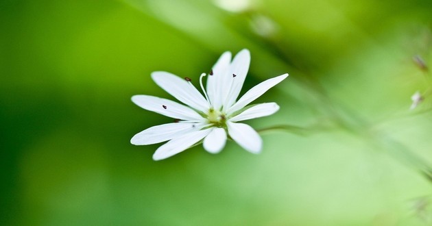 深圳风水大师