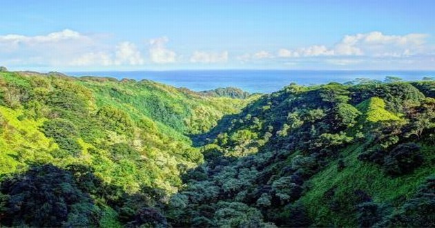 杭州风水大师