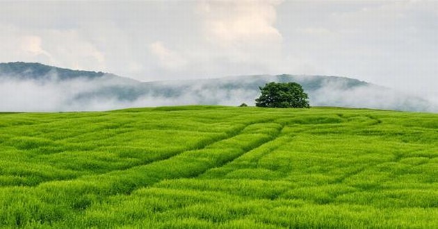 杭州风水大师