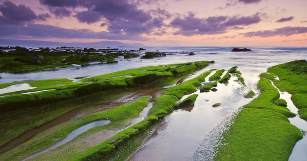 河北风水大师