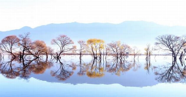 河北风水大师