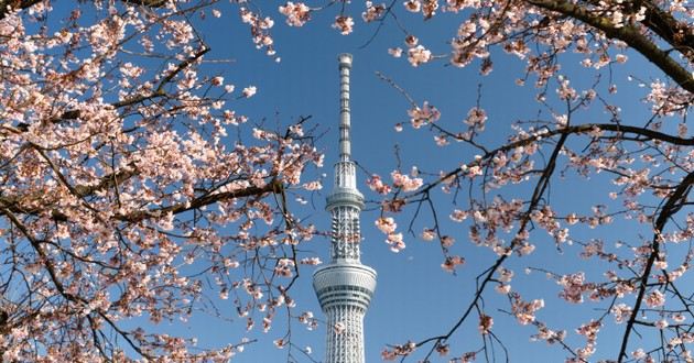 河北风水大师