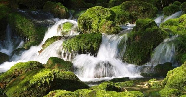 河北风水大师