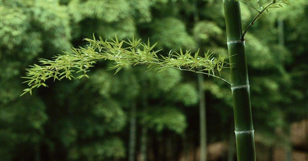 河北风水大师