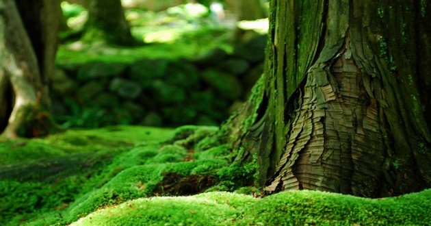 山东风水大师