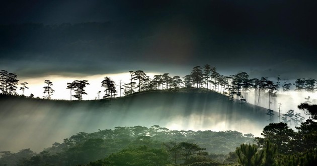 山东风水大师