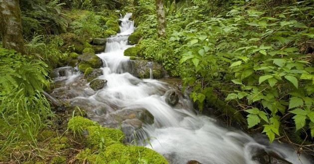 山东风水大师