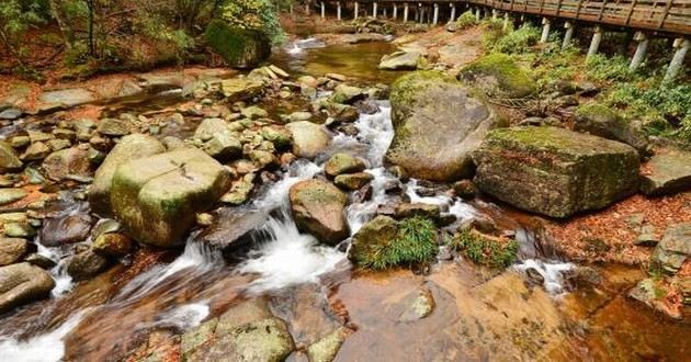 山东风水大师