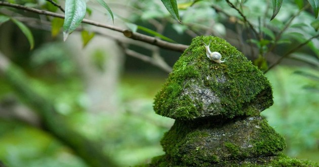 山东风水大师