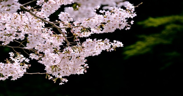 山东风水大师