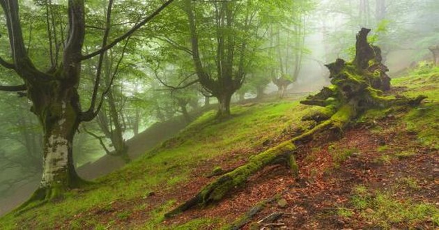 山东风水大师