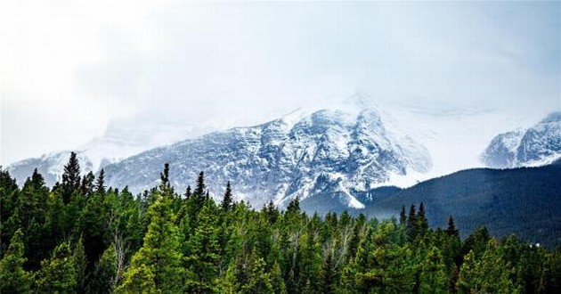 山东风水大师