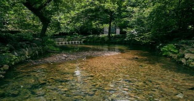 山东风水大师