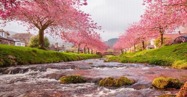 山东风水大师